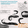 Coastal Connection Episode 5, Gulf of Mexico's Biodiversity