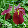 Coastal Connection Episode 4, Louisiana Irises
