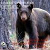 Coastal Connection Episode 9,  Louisiana Black Bears, Oh My!