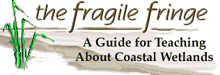 The Fragile Fringe