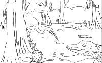 Gator Coloring Page