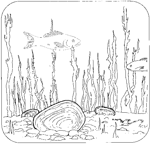 Coloring Book Page