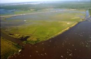 CWPPRA's first coastal restoration project at the Bayou LaBranche wetlands