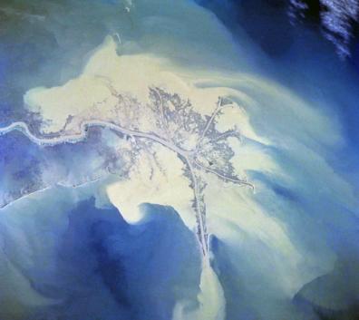 Satellite image of the birdsfoot delta of the Mississippi River