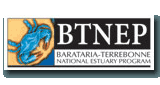 BTNEP logo
