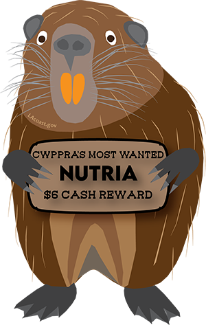 Wanted Nutria Magnet